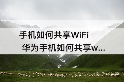 手机如何共享WiFi 华为手机如何共享wifi