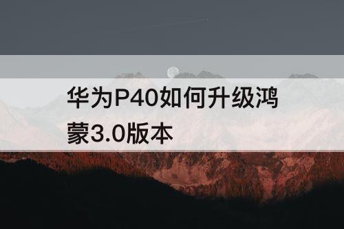 华为P40如何升级鸿蒙3.0版本