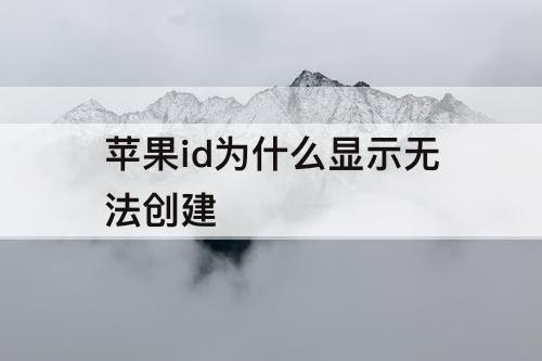 苹果id为什么显示无法创建