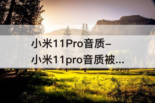 小米11Pro音质-小米11pro音质被砍