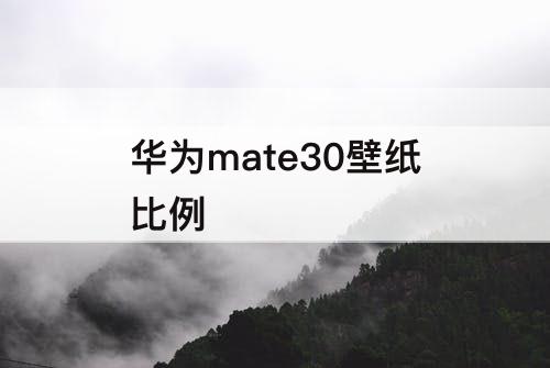 华为mate30壁纸比例