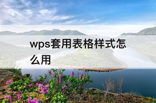 wps套用表格样式怎么用