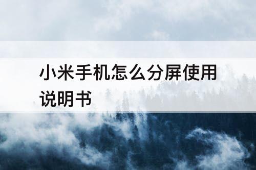 小米手机怎么分屏使用说明书