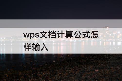 wps文档计算公式怎样输入