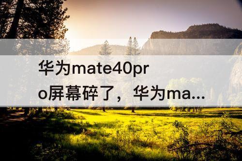 华为mate40pro屏幕碎了，华为mate40pro屏幕碎了的照片