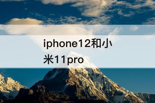 iphone12和小米11pro