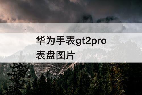 华为手表gt2pro表盘图片