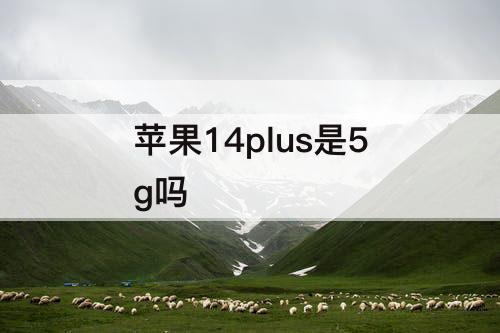 苹果14plus是5g吗