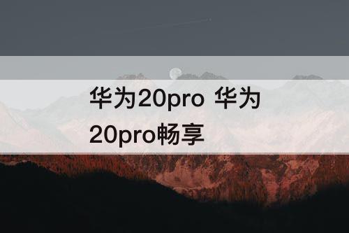 华为20pro 华为20pro畅享