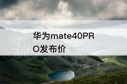 华为mate40PRO发布价