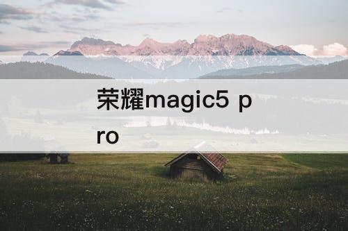 荣耀magic5 pro